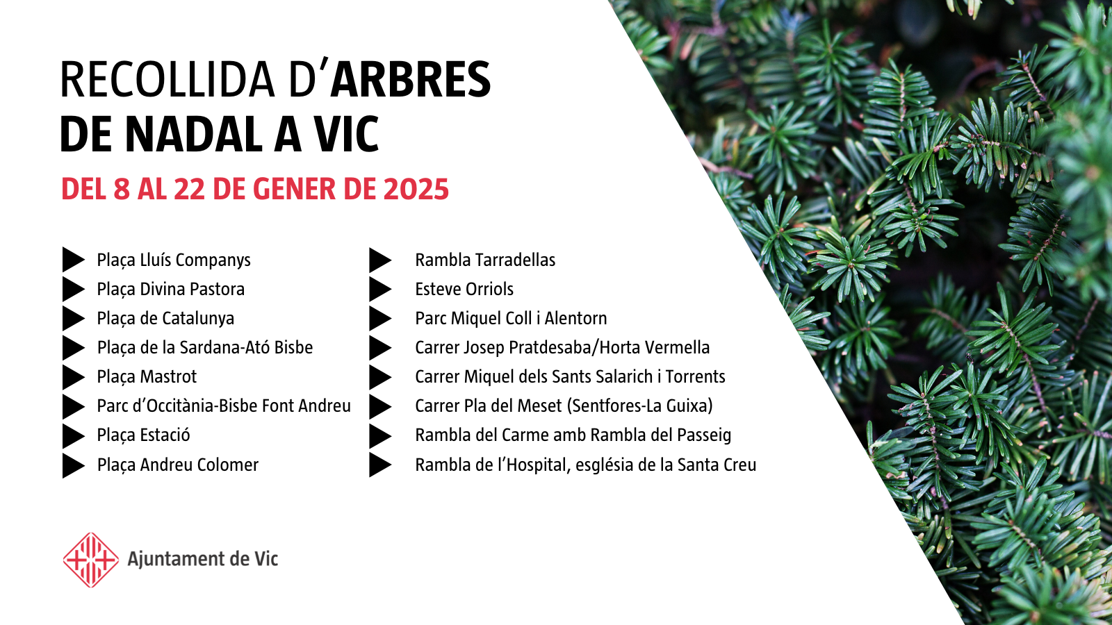 Cartell de la recollida d’arbres de Nadal 2025